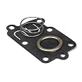 Briggs & Stratton Diaphragm Kit 5021K