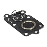 Briggs & Stratton Diaphragm Kit 5021K