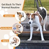 BRO Adjustable Dog Lifting Harness with Anti-slip Buckle Large (L) view 7
