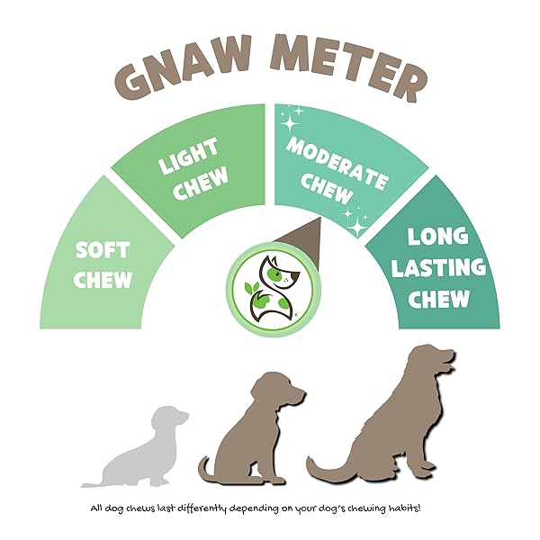 NATURE GNAWS BEEF PADDYWACK TENDONS FOR DOGS 5-6″ (5 COUNT) – LONG LASTING FOR AGGRESSIVE CHEWERS – NATURAL BEEF DOG CHEW BONES – RAWHIDE FREE