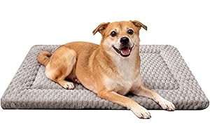 FOGKISS Dog Bed Mat - Dog Crate Pad - Reversible Mat for Pet Comfort - Soft Bed Crate Pads for All Seasons - Durable, Machine Washable Mat for Crates, Travel, and Home (Light Gray, 30" L*20" W*1.5" Th)