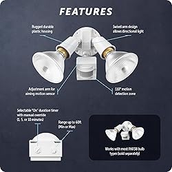Globe Electric 17000270 110-Degree 240 W Twin Head