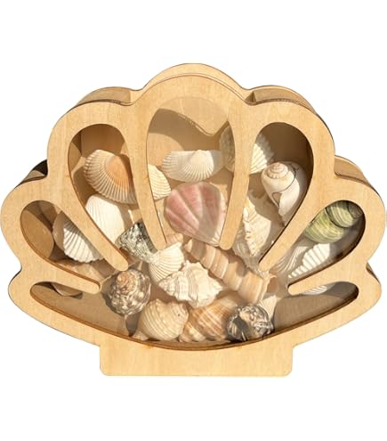 Boîte De Rangement Et Présentation Pour Coquillages - Forme De Coquillage, Bois Et Acrylique - 18x16 Cm - Décoration Marine - 8