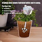 NiHome Hand-Blown Glass Plant Self Watering Globes 2-Pack 9oz Capacity Igloo view 3