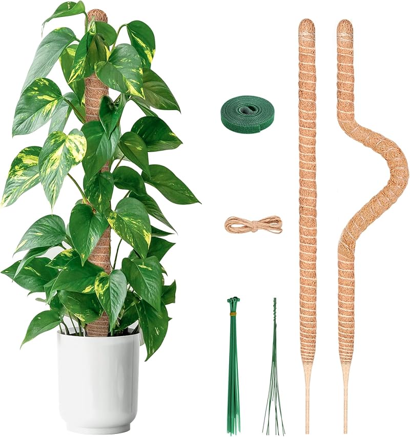 YAUNGEL Moss Poles 2Pcs 80CM Coir Totem Poles with 20M Twist Ties Indoor