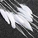 Dremisland Handmade White Dream Catcher Moon Design with Feathers 24 inch view 6