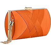 YAPAIOU Clutch Purses For Women Tassel Evening Clutch bag Cross Body & Shoulder Bag For Wedding Night out Party