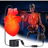 Halloween Skeleton Lighting Kit, Realistic Beating Heart Light, 100+ Modes | 12 Colors, Remote Control, Adjustable Brightness & Speed,17.8Ft Wire, Light Up 12Ft Skeleton for Outdoor Yard Halloween Decor