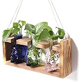 Plant Terrarium Propagation Stations Hydroponics Halloween Skull Planter Vase Skulls Decor with Wooden Stand Gift for Father