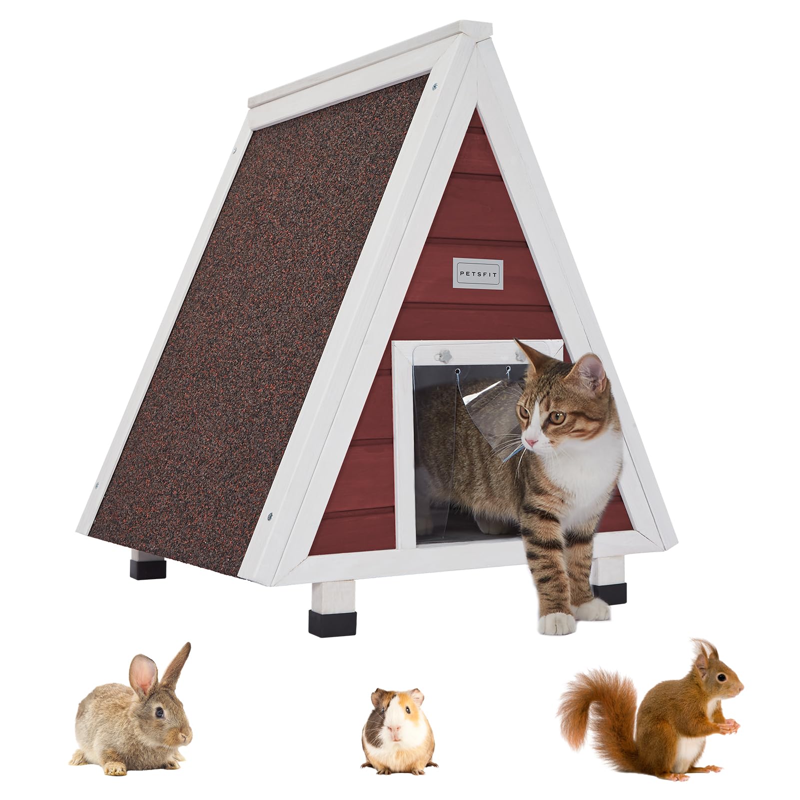 Curated visual reference: Visual Reference: Indoor Or Outdoor Rabbits Which Is Better For Your Bunny