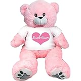 PaperGala 16" Personalized Pink Teddy Bear Name and Message for Valentines Day Anniversary Birthday Custom Gift for Girlfrien