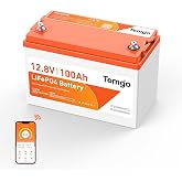 TEMGO 12V 100AH Group 24 Self-Heating LiFePO4 Lithium Marine Battery | with Smart APP Monitoring, Built-in 100A BMS,1280W Load Power, 5000+ Cycles, Perfect for RV/Camper, and Off-Grid
