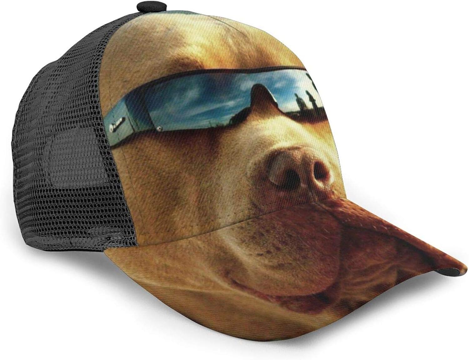 Pitbull dog hats Clearance