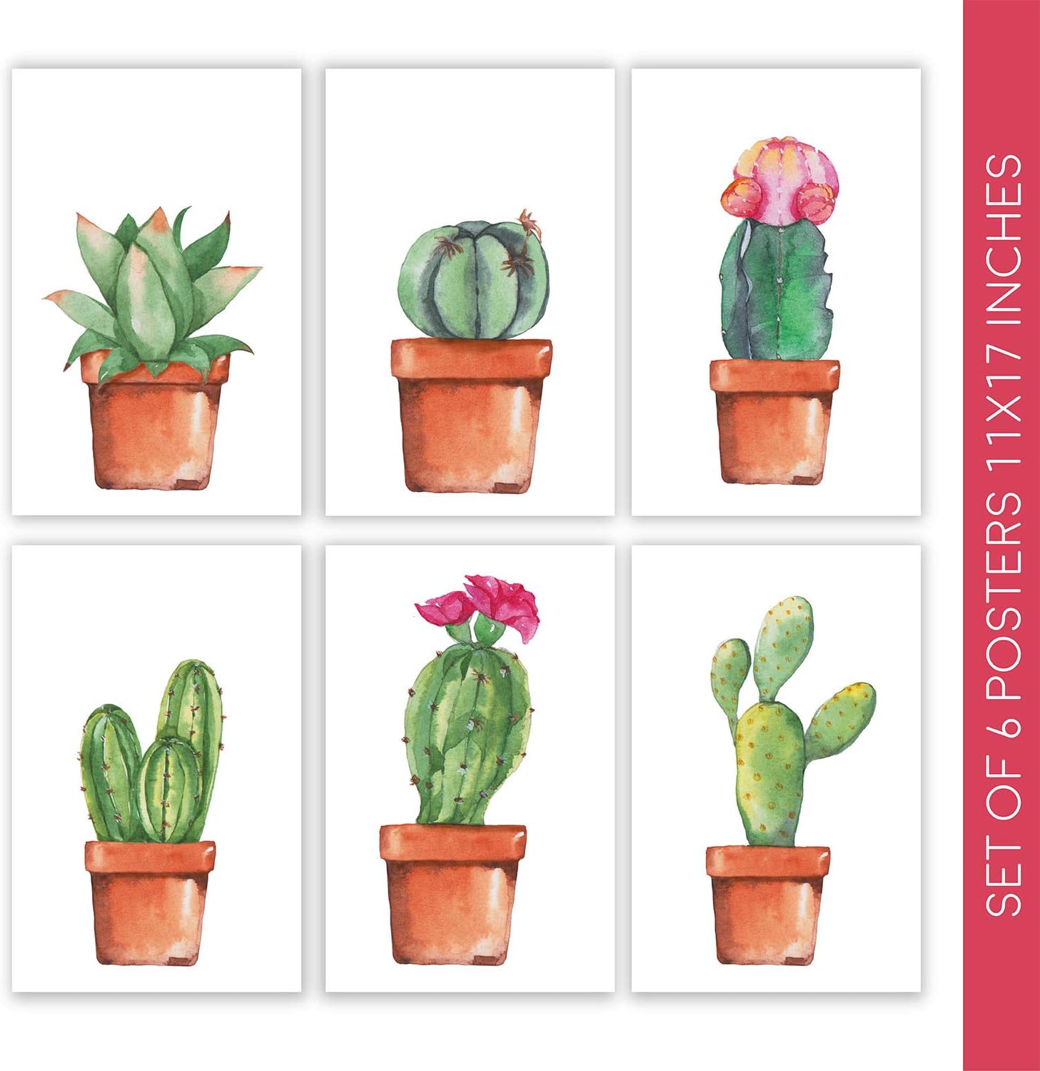Amazon Com Cactus Plant Poster Decor Set 6 Beautiful 11x17 Botanical Wall Art Decorations Gorgeous Succulent Decorative Prints Sticky Squares Easy Installation Nature Wall Decor For Bedroom Bathroom Home Posters Prints