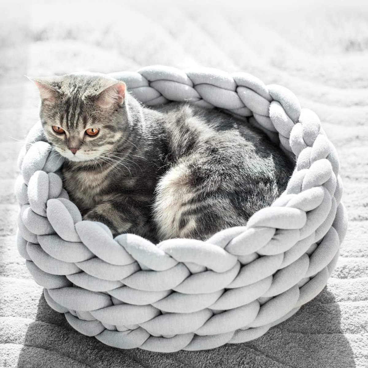 chunky cat bed