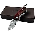 ALBATROSS Mini Pocket Knife - 4.75" Modern Damascus Steel Folding Knife with Red Sandalwood Handle - 71 Layer Hand Forged Blade - Liner Lock System - Luxury Gift Box - HGDK013