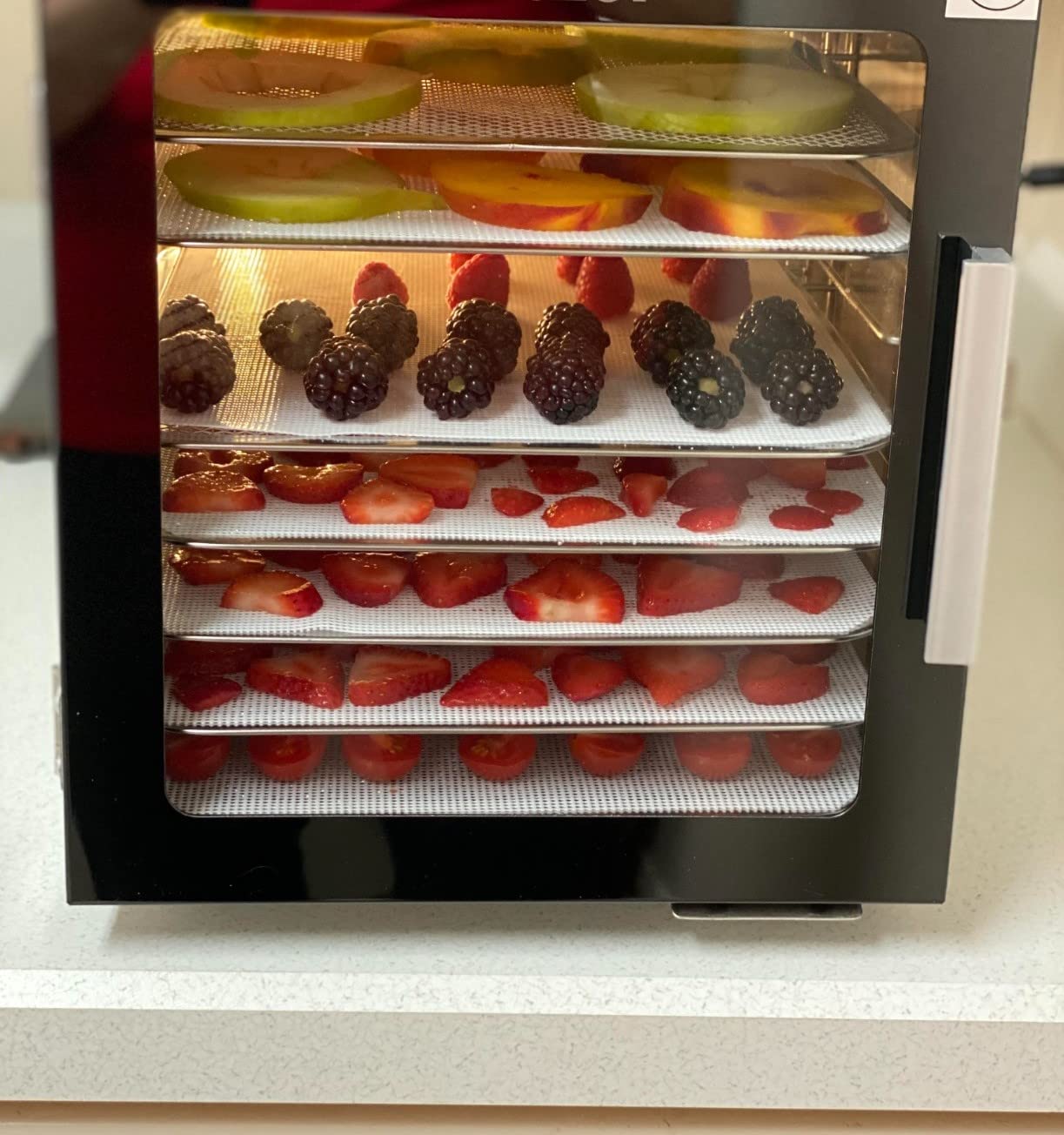 12 PCS Silicone Dehydrator Sheets, Premium Non Stick Silicone Mesh for Fruit Dehydrator, Tray Liner Reusable (14 x 14 in)