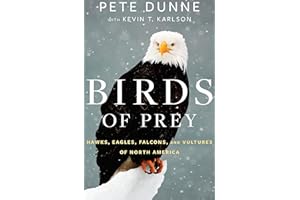 Birds of Prey: Hawks, Eagles, Falcons, and Vultures of North America