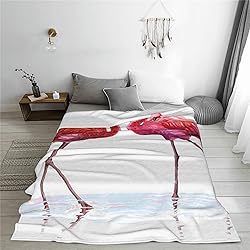 Pink Flamingo Blanket Flannel Throw Blankets Cozy