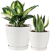 Swkien Plant Pots, Flower Pots, Planters for Indoor Plants(6.5+5.5inch), Flower Pots for Indoor Plants with Drainage Hole and Saucer, Ceramic Pots for Plant with Hole Mesh Pad,White
