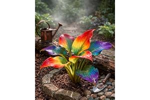 Rainbow Hosta Rainbow Seeds,Mixed Flower Colored Hostas Live Plants Bulbs,Colours Premium Rare Perennial,Gods Artistic Canvas