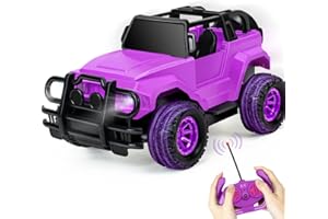 Ynanimery Remote Control Car, Toy Car for Boys Girls Birthday, 1:20 Scale RC Truck Full Functions Racing Car for Toddlers Kids Indoor Outdoor Play, Purple