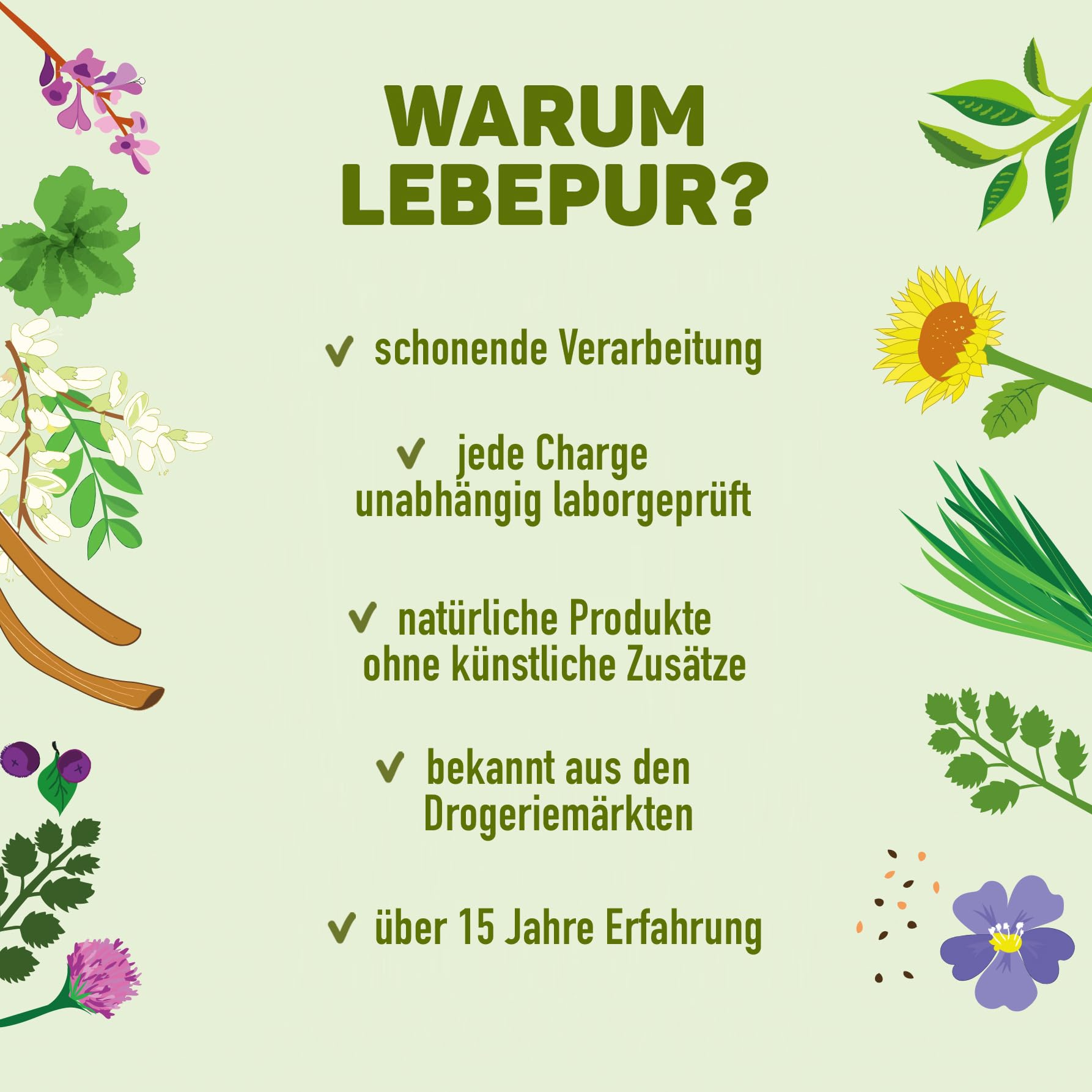 Lebepur BIO Akazienfasern vegan 500g, 90% Ballaststoffe, geschmacks- und geruchsneutral, Akazienfaser Pulver, glutenfrei, ohne Zusatzstoffe, hoher Ballaststoffgehalt mit 90g pro 100g 6
