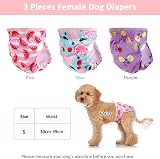 Heyu-Lotus Reusable Dog Nappies 3 Pack Female Washable Period Pants S/M 30-48cm view 2