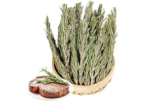 Dried rosemary branches 1.76oz/50g, dried rosemary leaves,thyme， whole bottle of grilled meat pizza, decorative fried steak, 