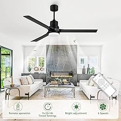 Biukis Black 60-inch Modern Ceiling Fans with