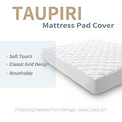 Taupiri Twin XL Quilted Mattress Pad Cover with