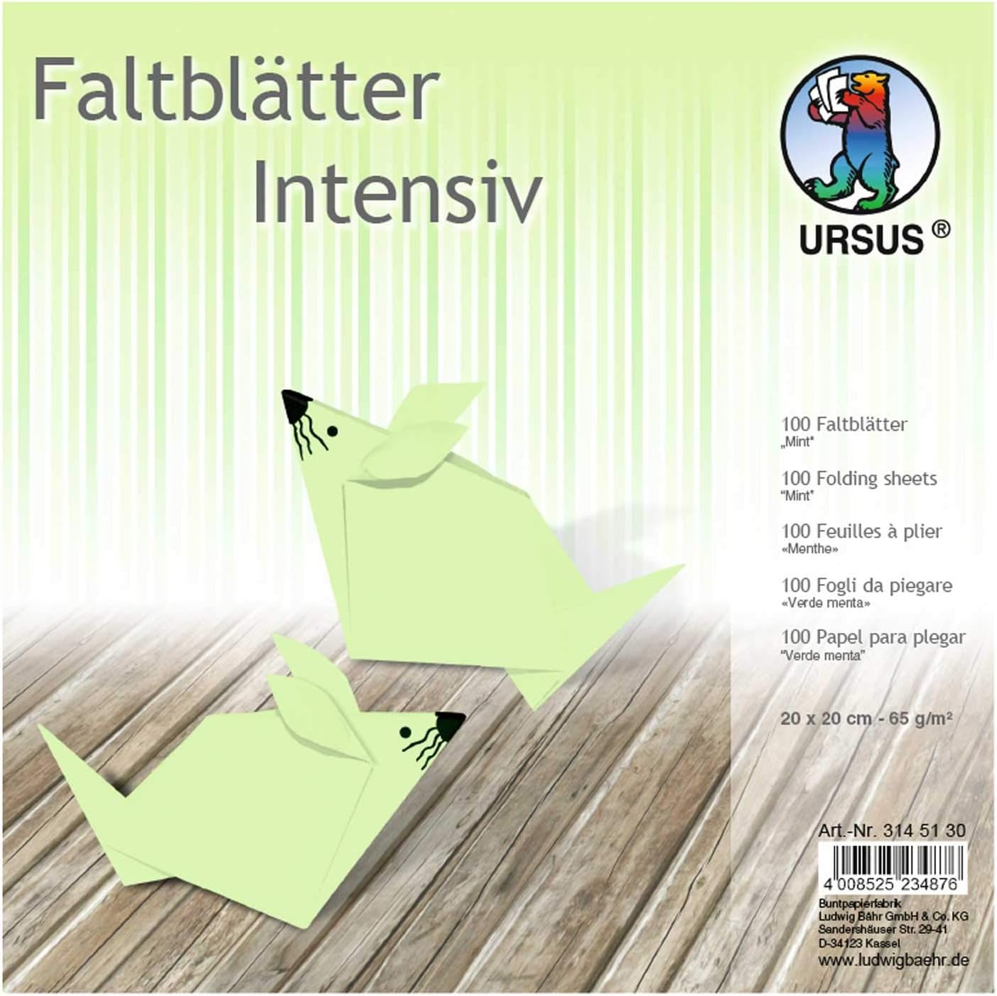 Ursus 3145130 Plain Folding, 100 Sheets, 65 g/m², 20 x 20 cm, for Small and Large Origami Artists Dyed in Intense Colours, Mint