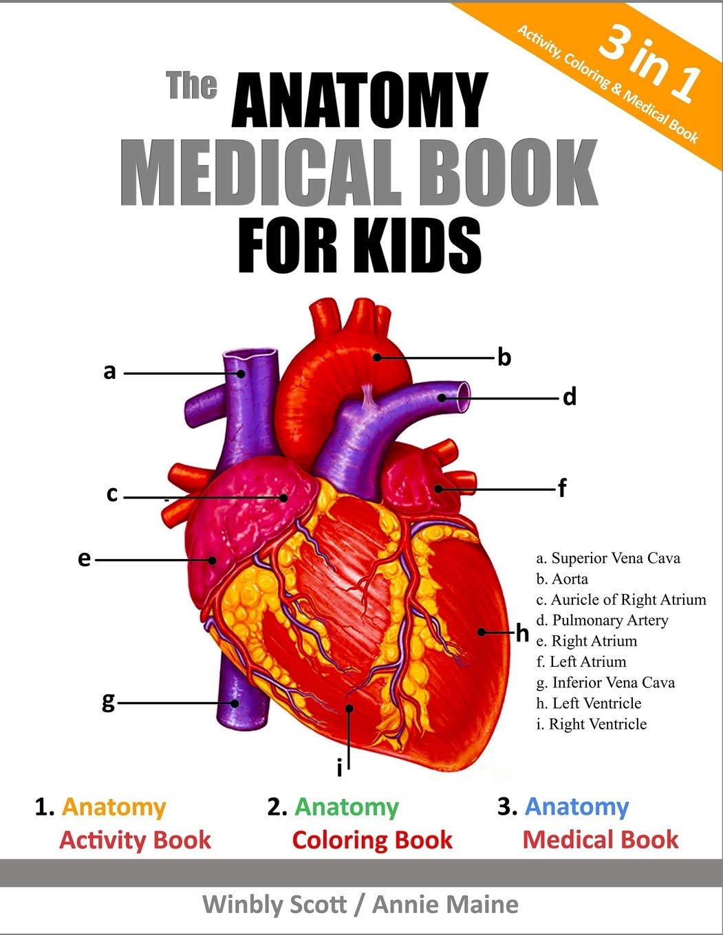 The Anatomy Medical Book For Kids A Coloring Activity Medical Book For Kids Scott Winbly Maine Annie 9781790837113 Books Amazon Ca