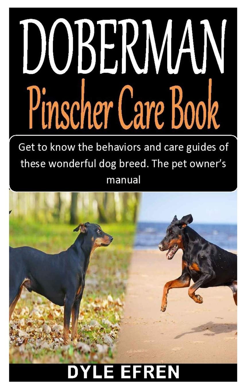doberman diet plan