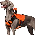 Aazon.co : WINGOIN Blue Tactical Dog Harness For Ediu Sall Dogs No