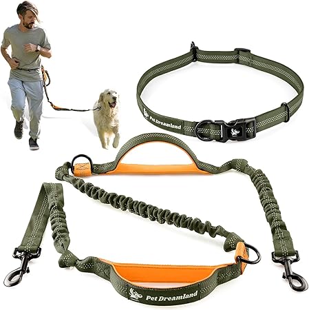 dog leashes for medium dogs