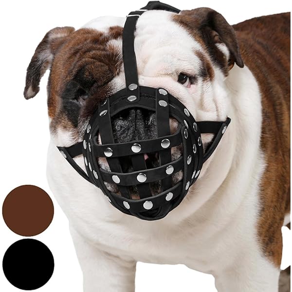 bane dog muzzle