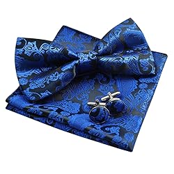 Alizeal Mens Paisley Bow Tie, Pocket