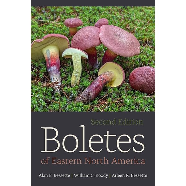 Waxcap Mushrooms of Eastern North America: Bessette, Alan