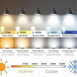 Maylaywood A19 LED Light Bulbs, 60 Watt Equivalent