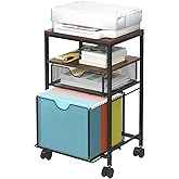 BOHDK Rolling File Cart with 2 Storage Drawers, Wood & Mesh Hanging File Folder Organizer with Wheels Under Desk, File Cabinets for Home Office, 14.7" L x 11.8" D x 25.3" H