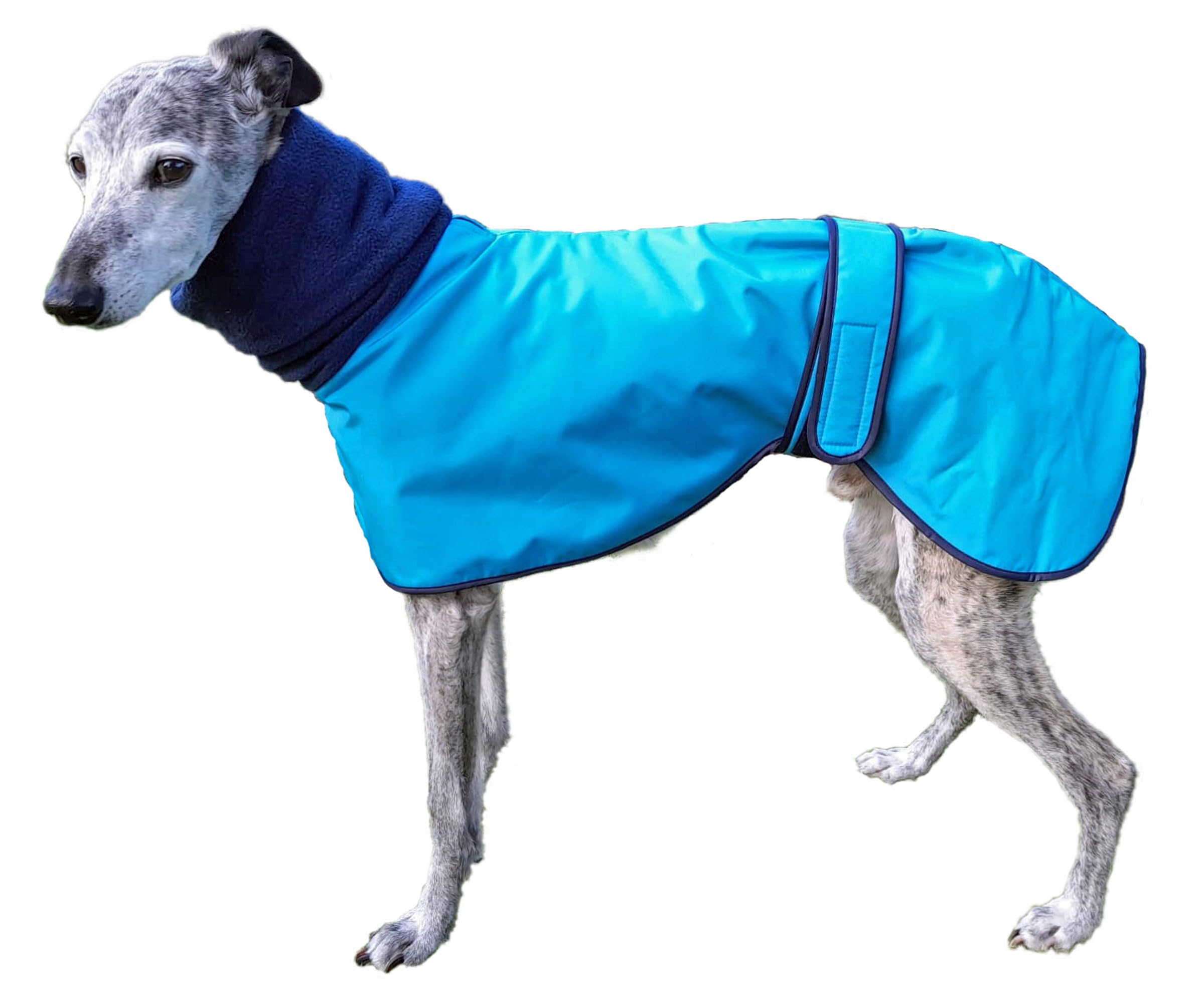 Greyhound Polo Waterproof Aqua 22" (56cm)