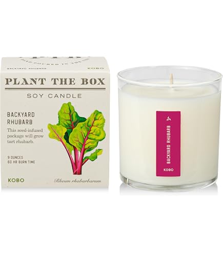 Amazon.com: Jonathan Adler Vice Envy Candle, Green : Home & Kitchen