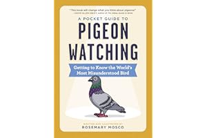 A Pocket Guide to Pigeon Watching: Getting to Know the World's Most Misunderstood Bird