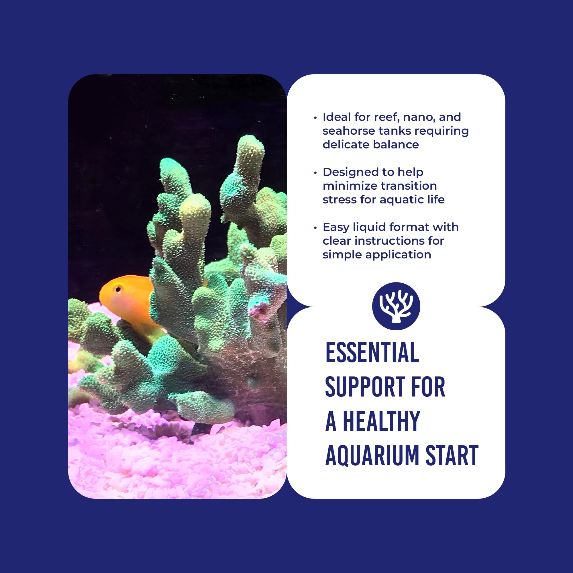Image result for biological balance tips for saltwater tank