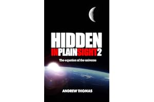 Hidden In Plain Sight 2: The equation of the universe