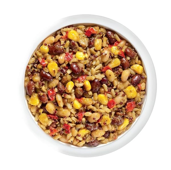TASTY BITE MEXICAN PROTEIN BOWL, 8.8 OUNCE, PACK OF 6, READY TO EAT, MICROWAVEABLE, VEGAN, 12G PLANT PROTEIN, TANGY CITRUS