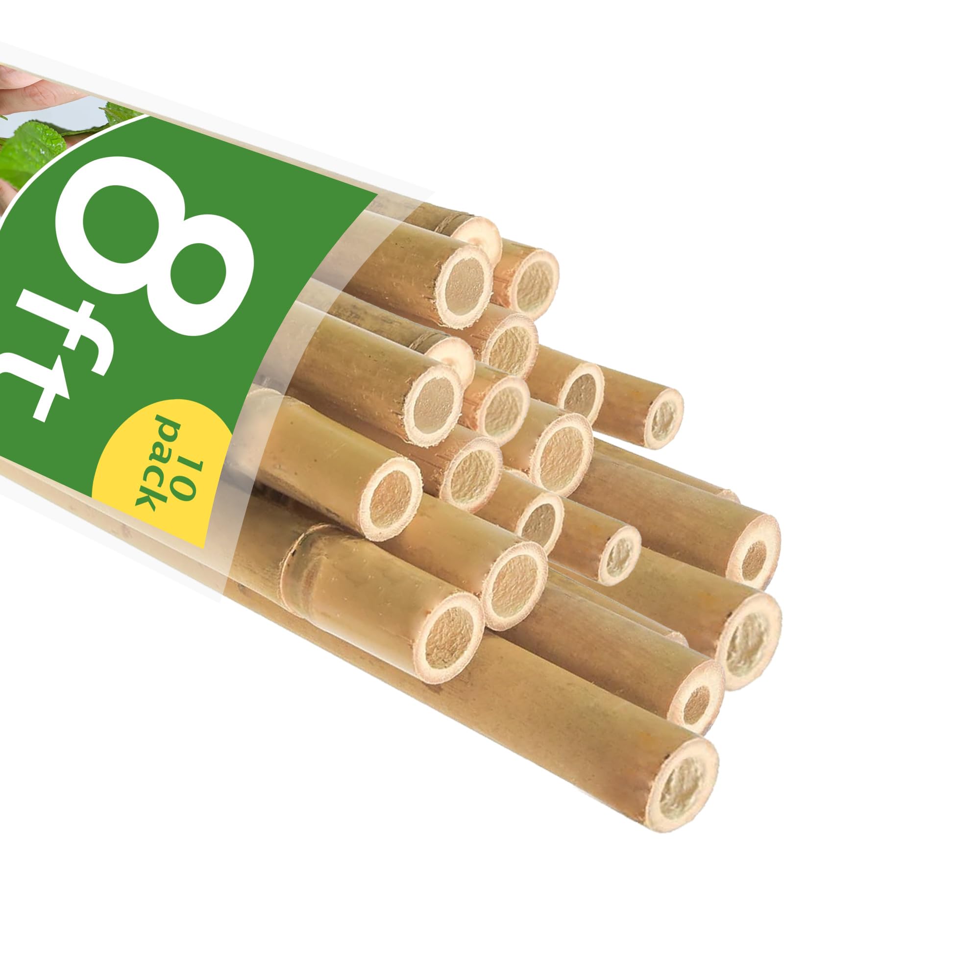 Photo 1 of **MINOR DAMAGES (CHIPPING)**  Bamboo Stakes 8FT, 8 Feet Natural Bamboo Plants Stakes, 1" D Thicker Heavy Duty Garden Stakes 10 Pack for Tomatoes, Beans, Flowers, Potted and More Climbing Plants