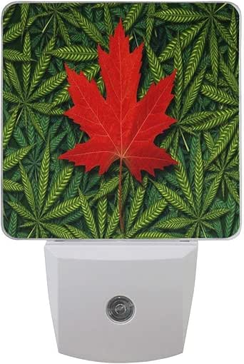 Luz de noche LED hoja de arce, hoja de marihuana, luz nocturna, sensor