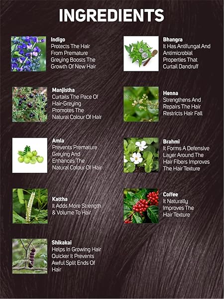 VEGETAL SAFE HAIR COLOR -BURGUNDY 100GM – CERTIFIED ORGANIC CHEMICAL AND ALLERGY FREE BIO NATURAL HAIR COLOR WITH NO AMMONIA FORMULA FOR MEN AND WOMEN